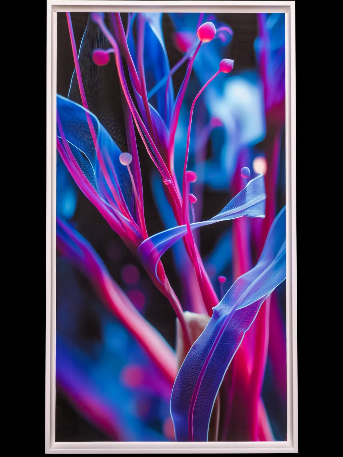 Biome Lumina #672