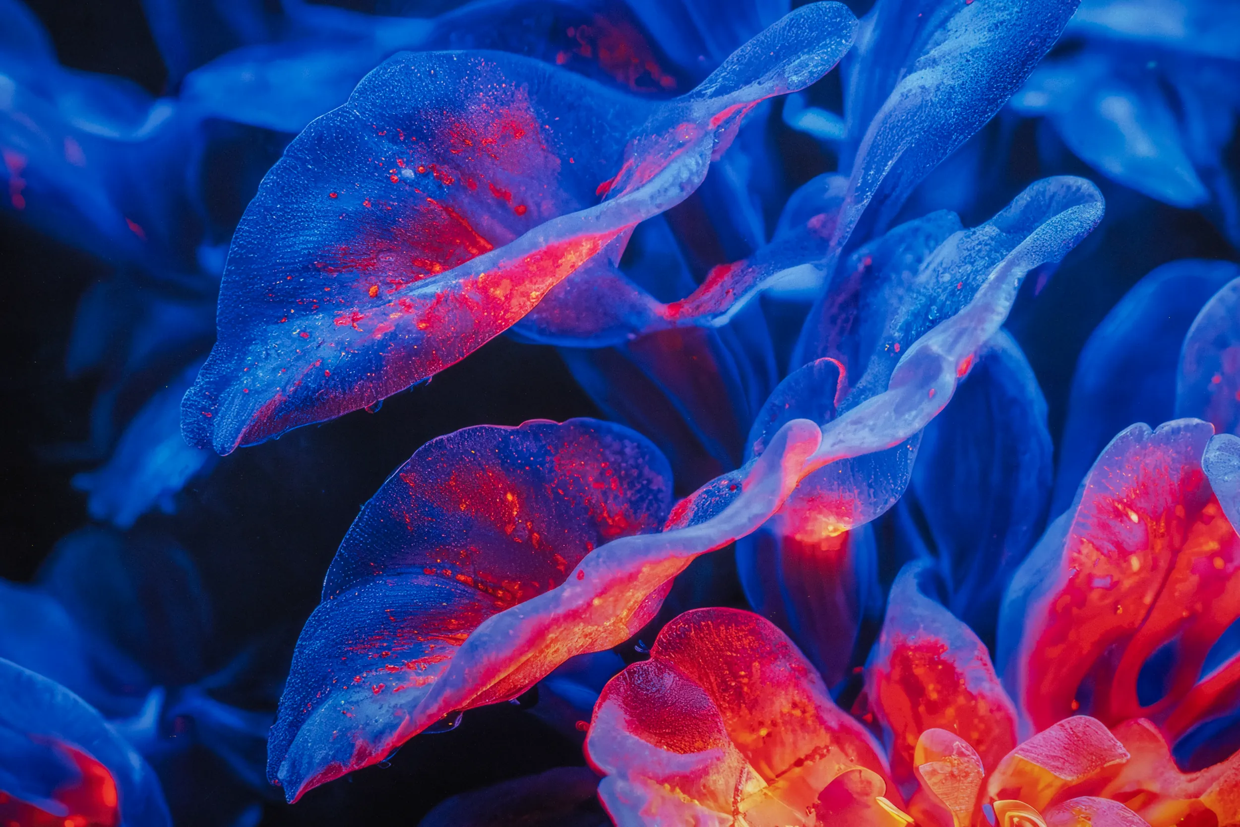 Refik Anadol BIOME LUMINA #952 detail